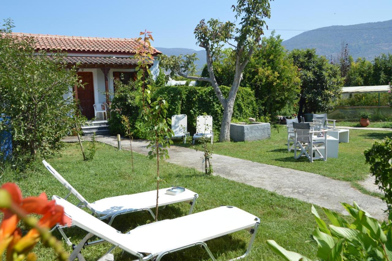 Mr. Greek Villa Petra  Exteriér fotografie